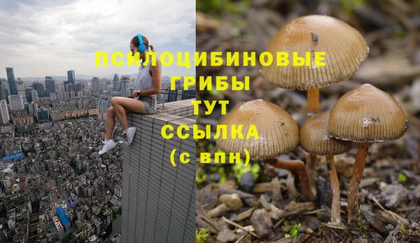 герыч Новозыбков