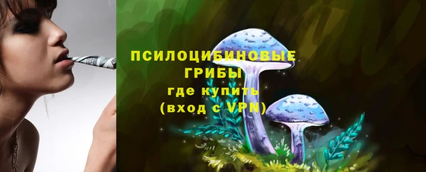 герыч Новозыбков