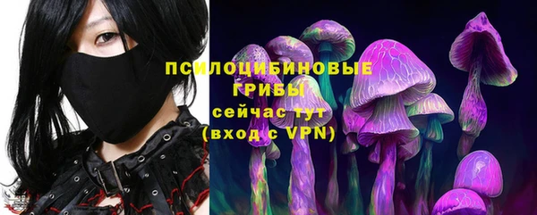 МДПВ Ачинск