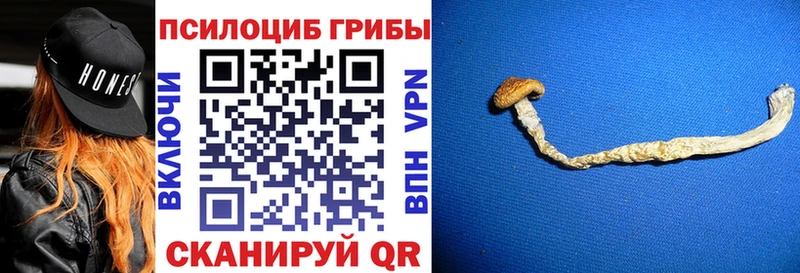 Купить где Карабаново Галлюциногенные грибы Cubensis